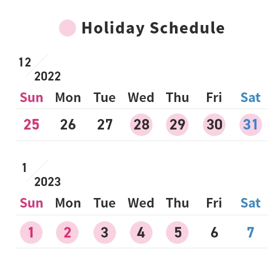 Japanese winter holiday schedule                                                                                                                                                                        
